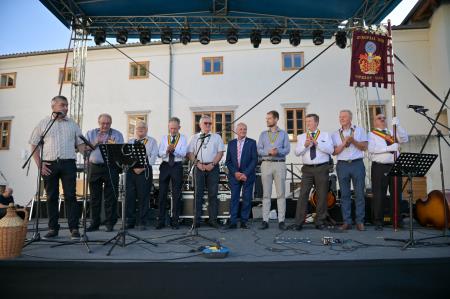 vipavska ned-312
